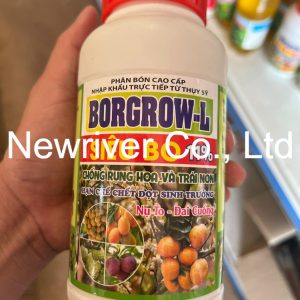 Borgrow-L