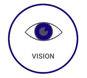 vision